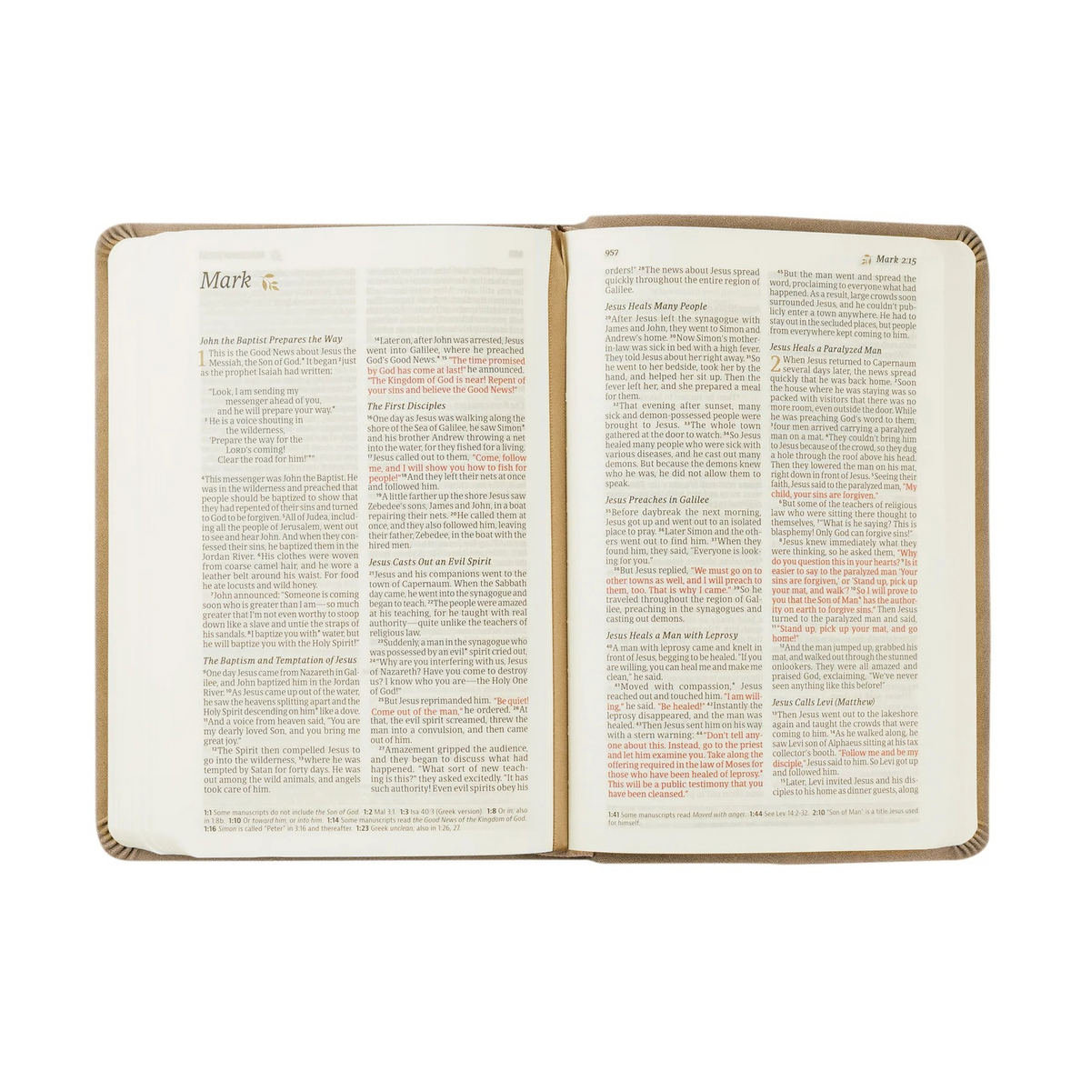 NLT Compact Bible | Marlo Theme