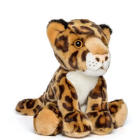 Plush 12" Stuffed Animals