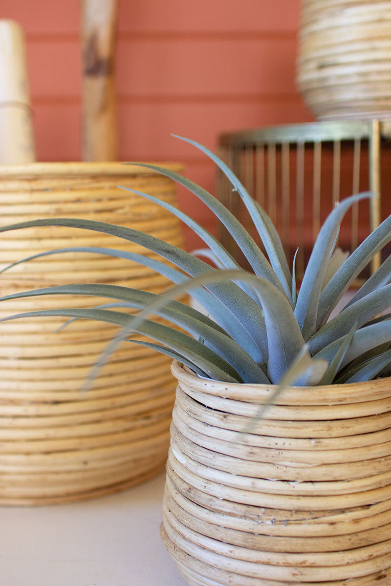 Woven Willow Planter