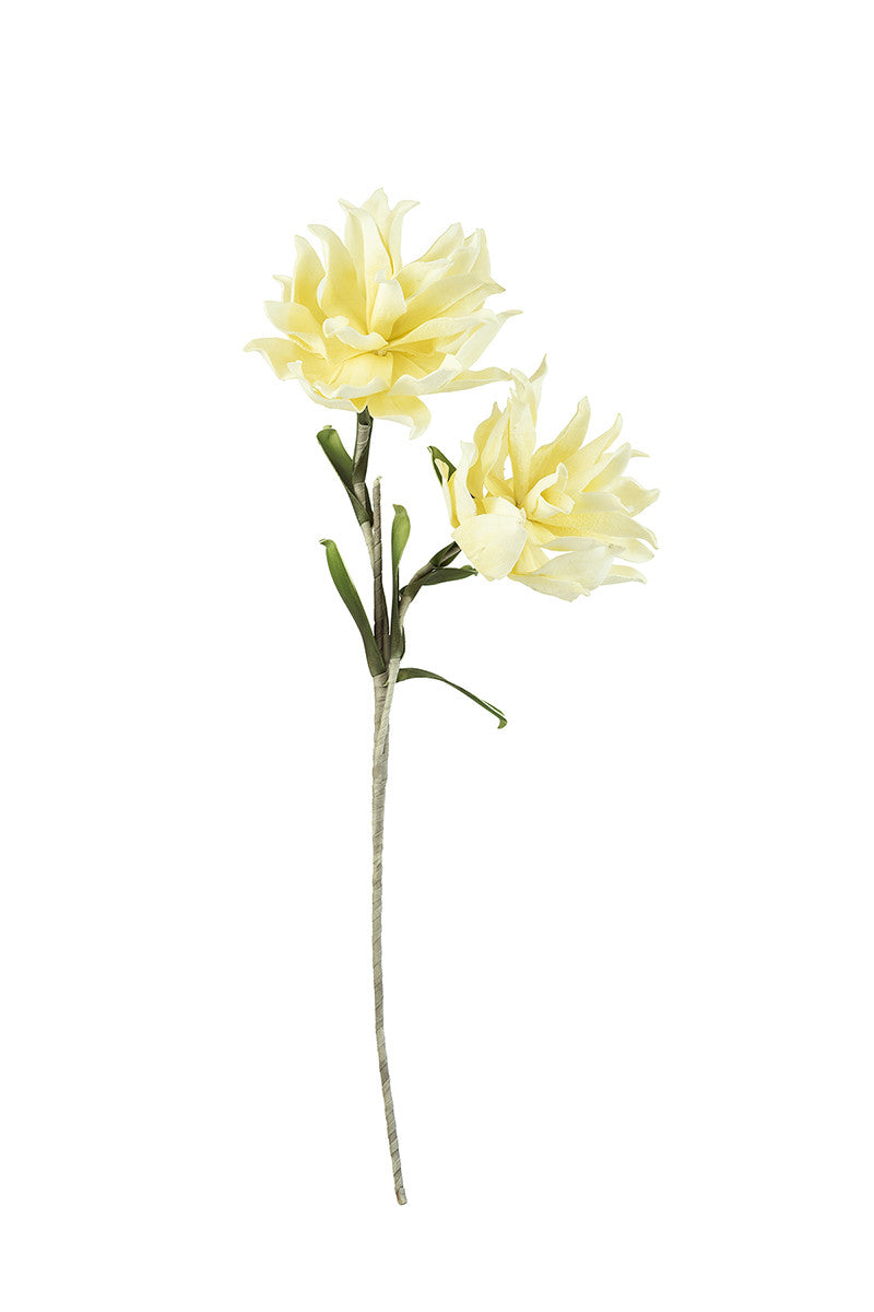 Soft Botanica