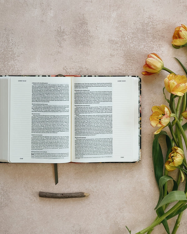 Simons ESV Journaling Bible