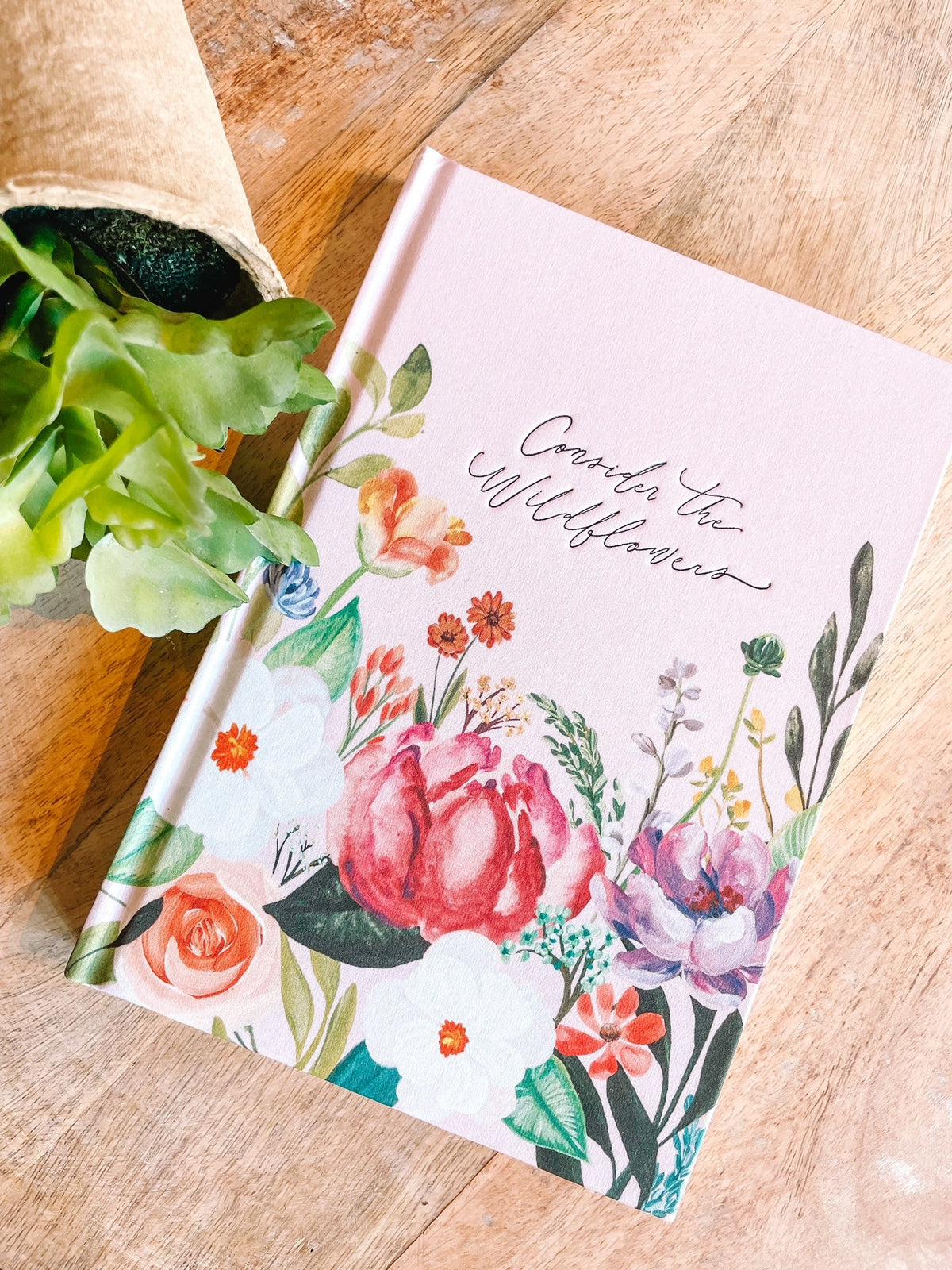 Charlotte Notebook
