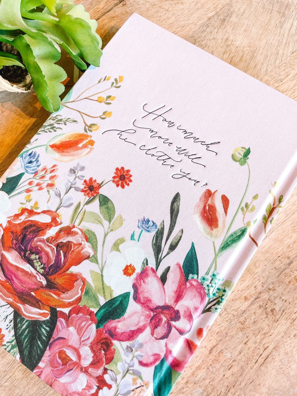 Charlotte Notebook