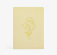 Belfast Notebook