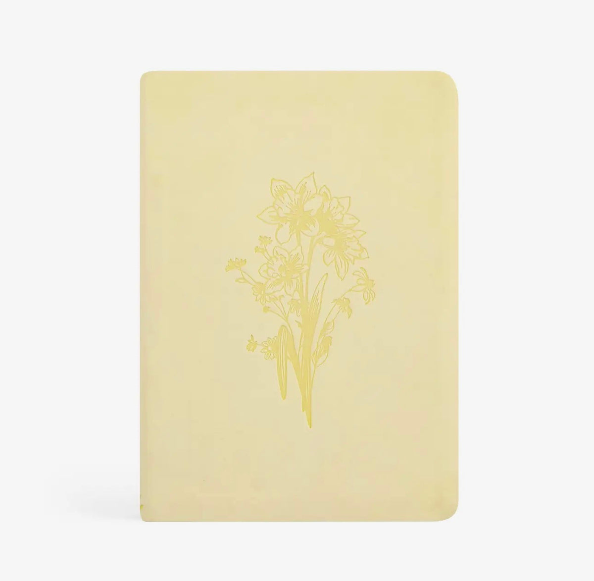 Belfast Notebook
