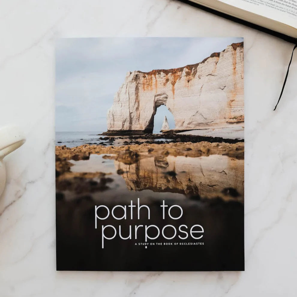 Path To Purpose | Men's Study Ecclesiastes