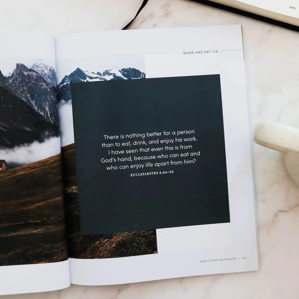 Path To Purpose | Men's Study Ecclesiastes