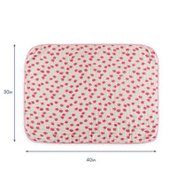 Strawberry Itzy Blanket