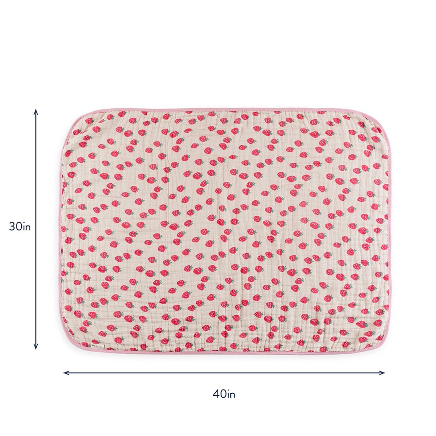 Strawberry Itzy Blanket