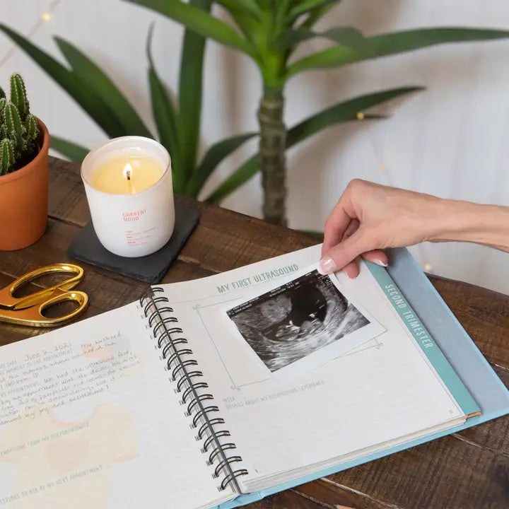 Bump For Joy Pregnancy Journal
