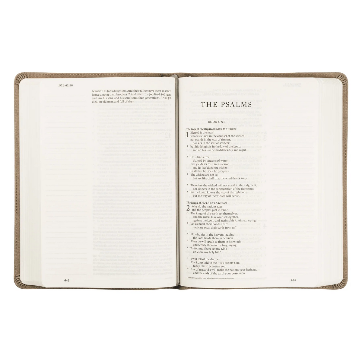 ESV Large Print Journaling Bible | Nara Theme