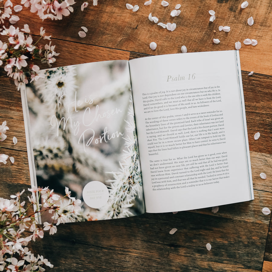 Delight | Psalm 1-30